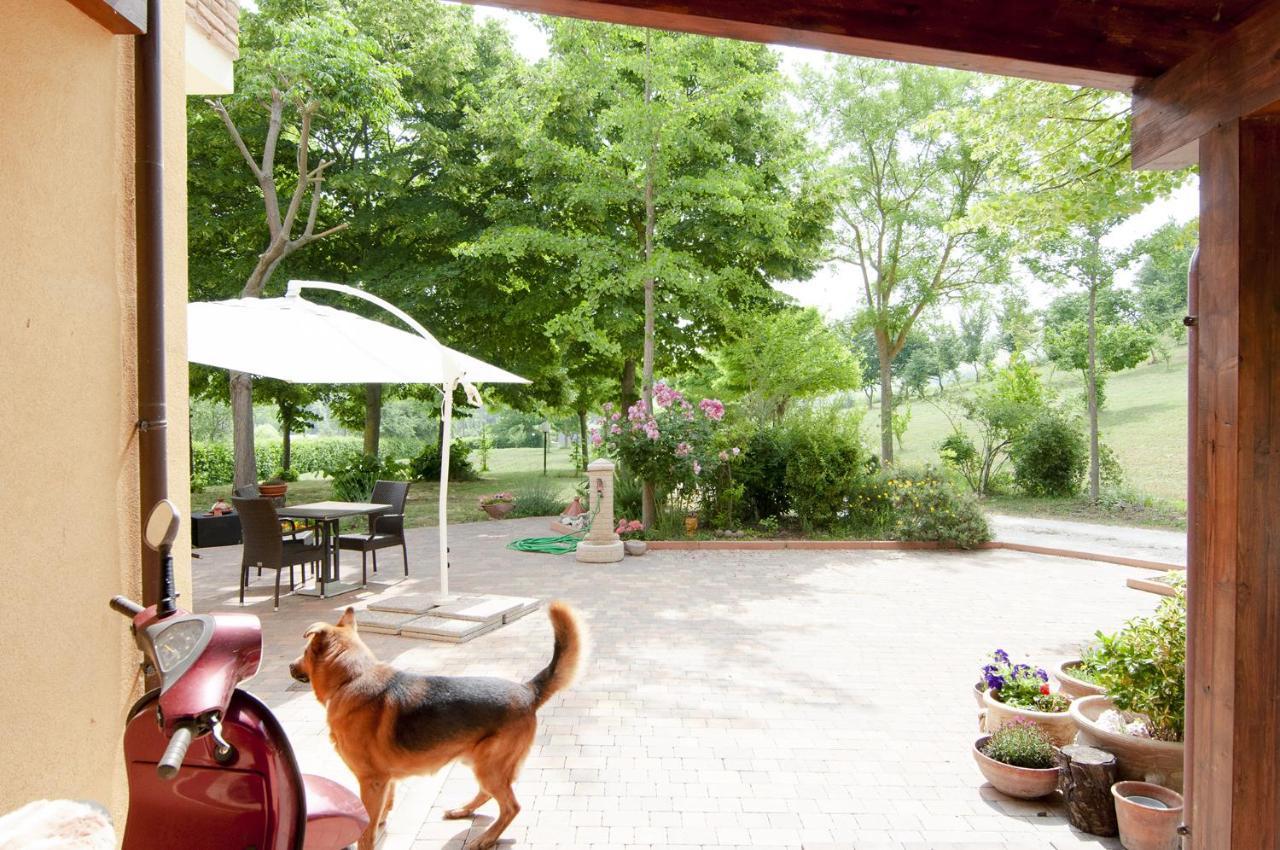 B&B Antico Sentiero Cesena Exterior photo
